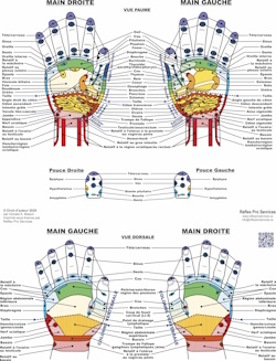 French Reflexology Hand Chart Poster
